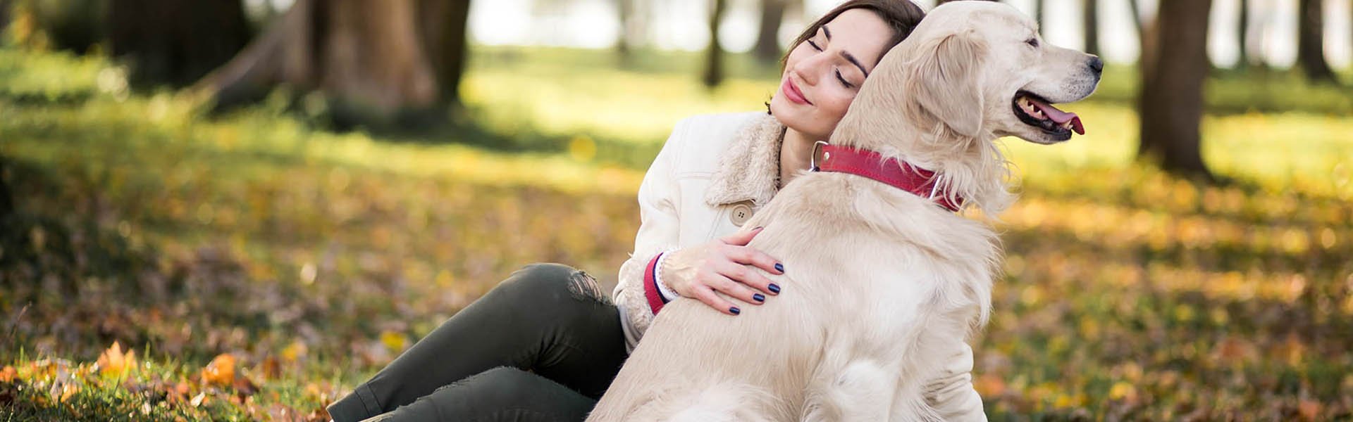 Dédiszitter Dédiszitter